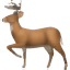 DeerFlow