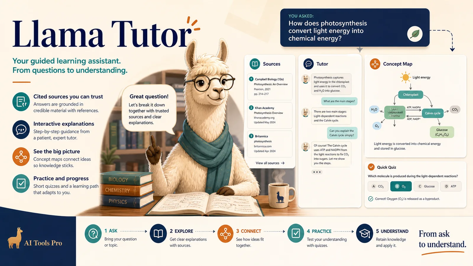Llama Tutor
