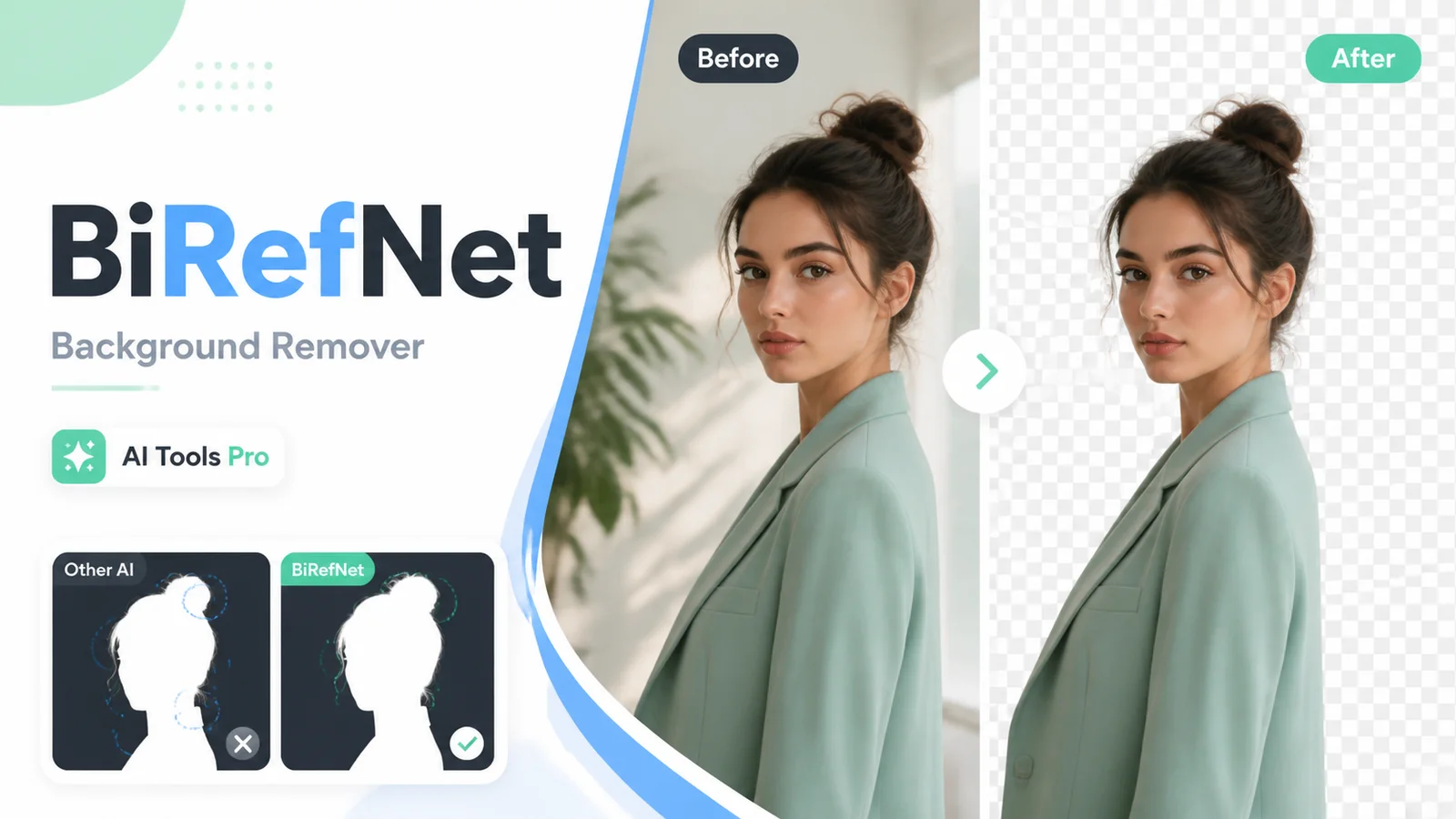 BiRefNet Background Remover